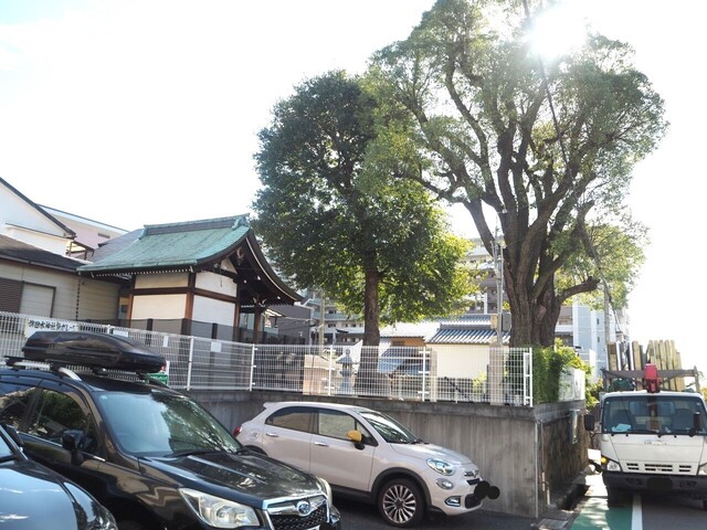 2aP_PB065863.jpg