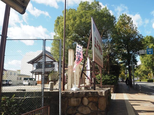 2aP_PB065928.jpg