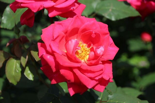 2bP_IMG_0705.jpg