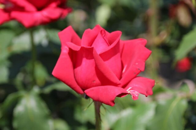 2bP_IMG_0775.jpg