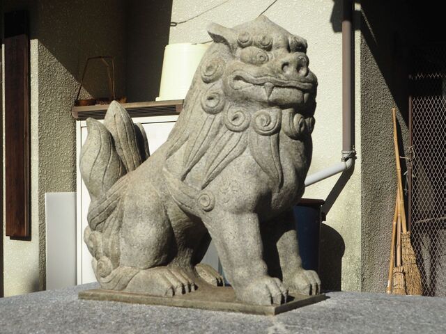 31aP_PB065798.jpg