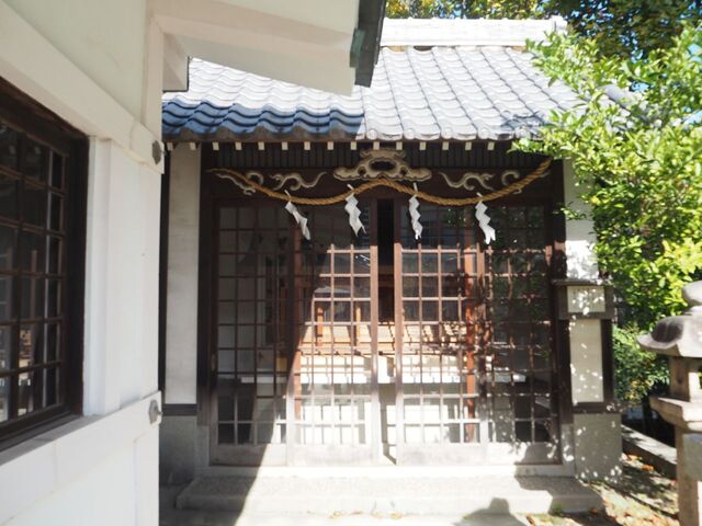 31aP_PB065953.jpg