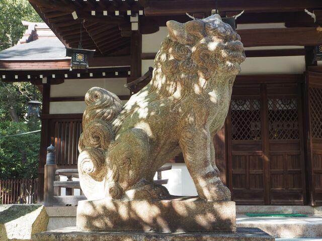 31aP_PB066309.jpg