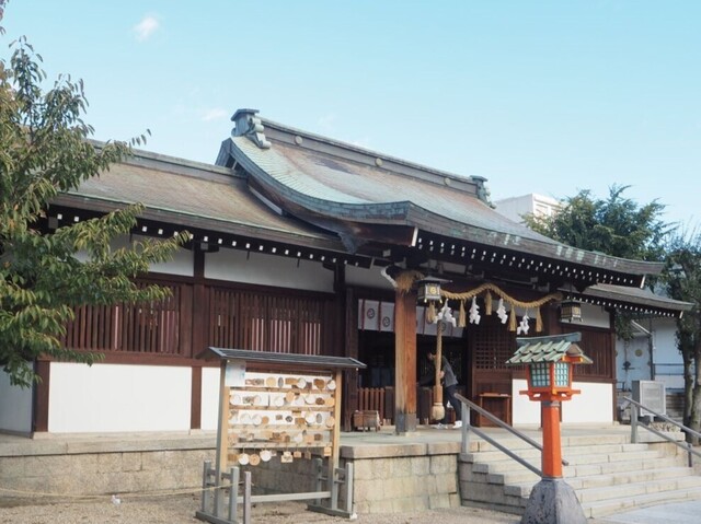 32aP_PB066032.jpg