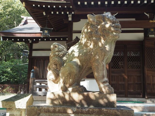32aP_PB066311.jpg