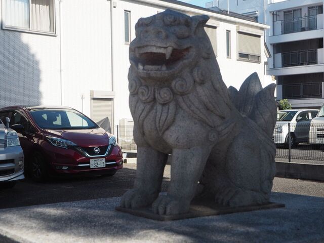 33aP_PB065802.jpg