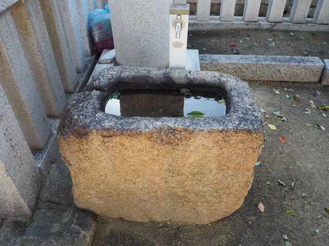 33aP_PB065835.jpg