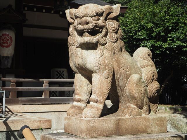 33aP_PB066312.jpg