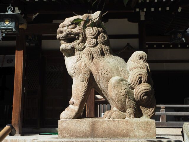 34aP_PB066316.jpg