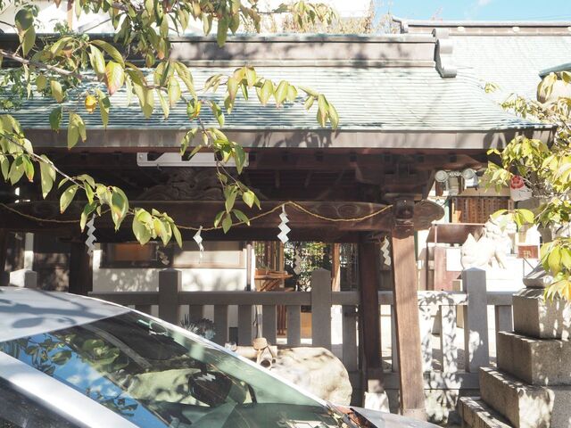 36aP_PB065919.jpg