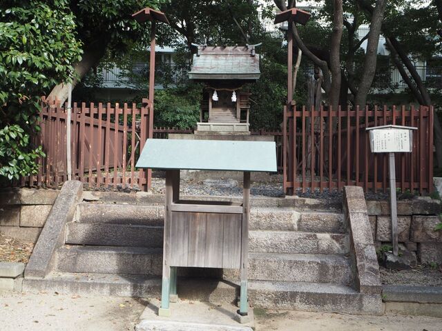 36aP_PB066345.jpg