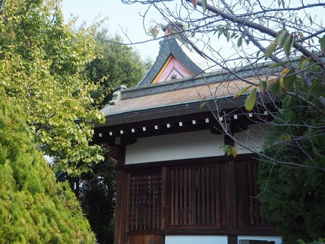 37aP_PB066029.jpg