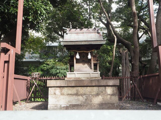 37aP_PB066347.jpg