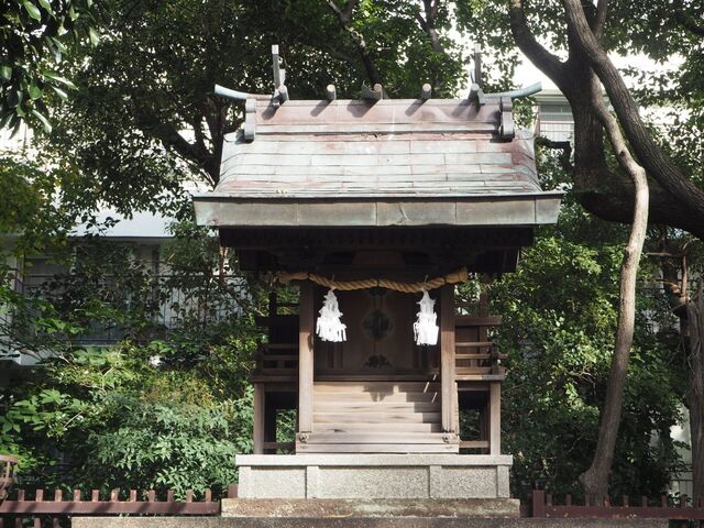 38aP_PB066349.jpg