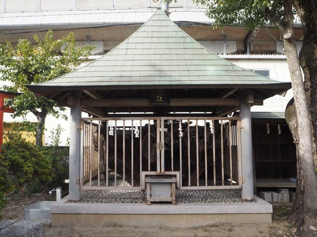 38aP_PB066498.jpg