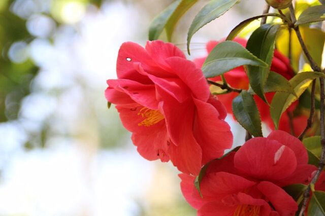 3UP_IMG_6878.jpg