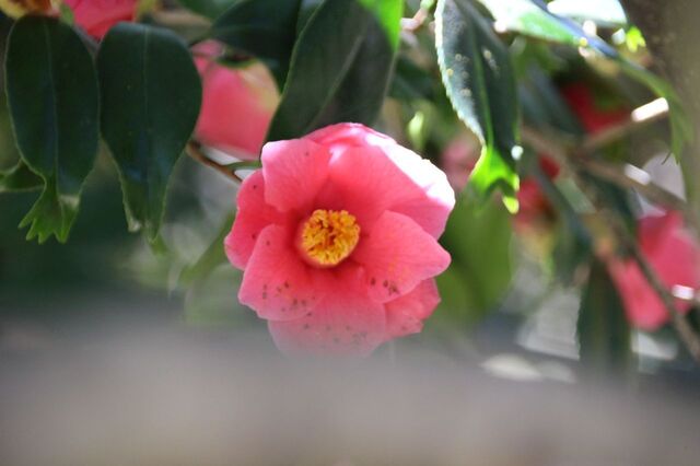 3UP_IMG_7042.jpg