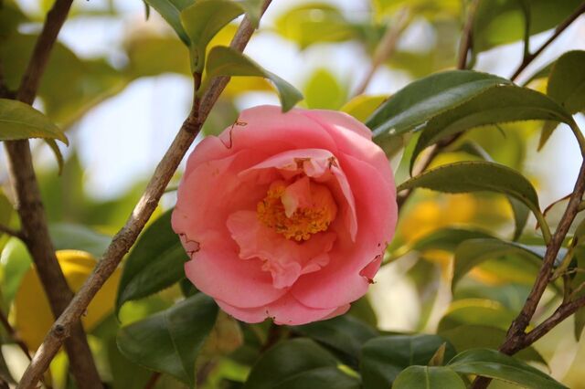 3UP_IMG_7249.jpg