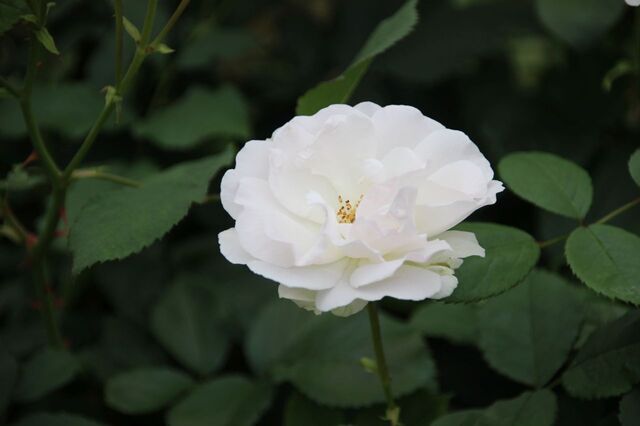 3UP_IMG_7351.jpg