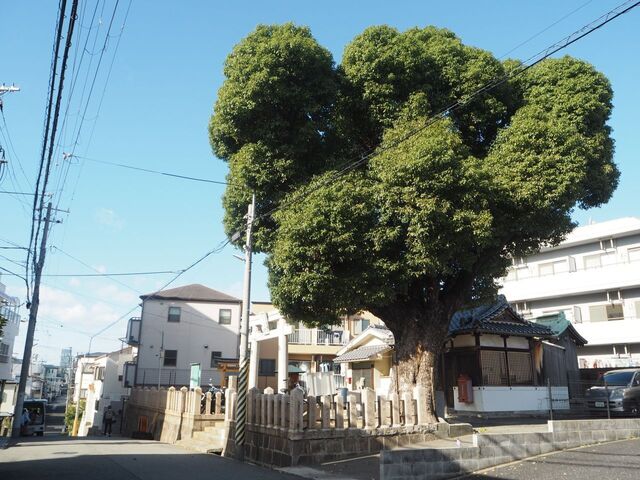 3aP_PB065770.jpg