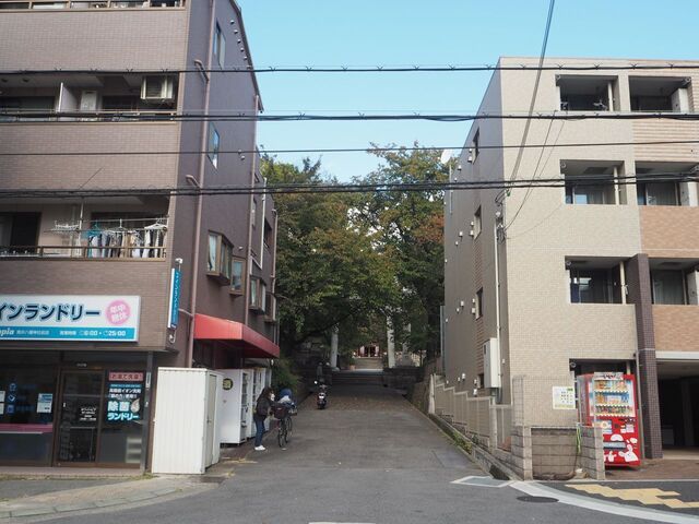 3aP_PB066109.jpg