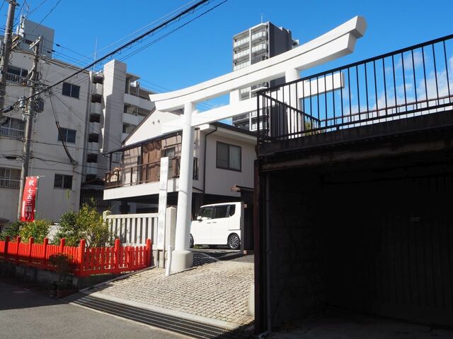 3aP_PB066121.jpg