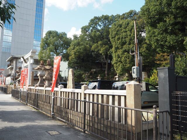 3aP_PB066272.jpg