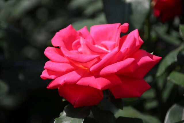 3bP_IMG_0692.jpg