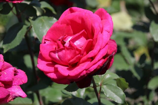 3bP_IMG_1014.jpg