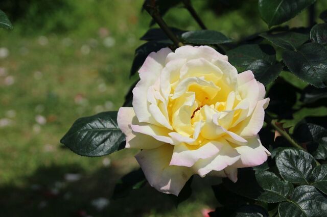 3bP_IMG_1059.jpg