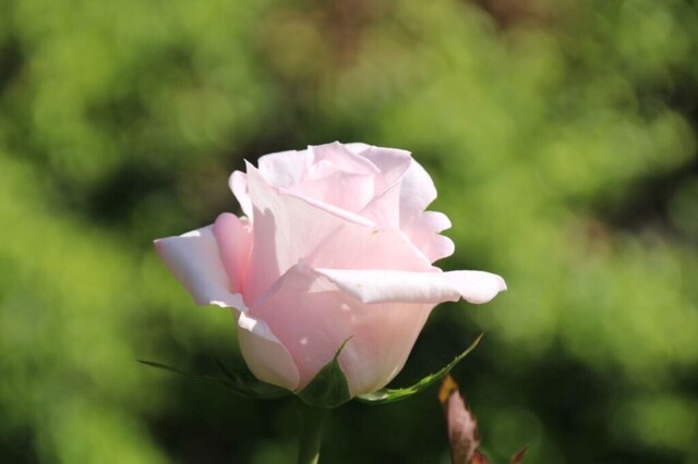 3bP_IMG_1226.jpg