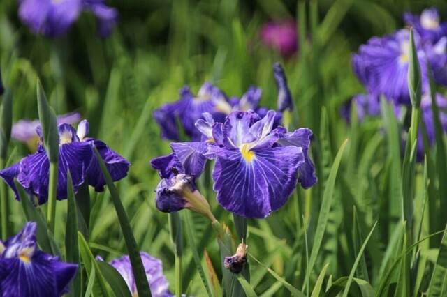 3bP_IMG_2285.jpg