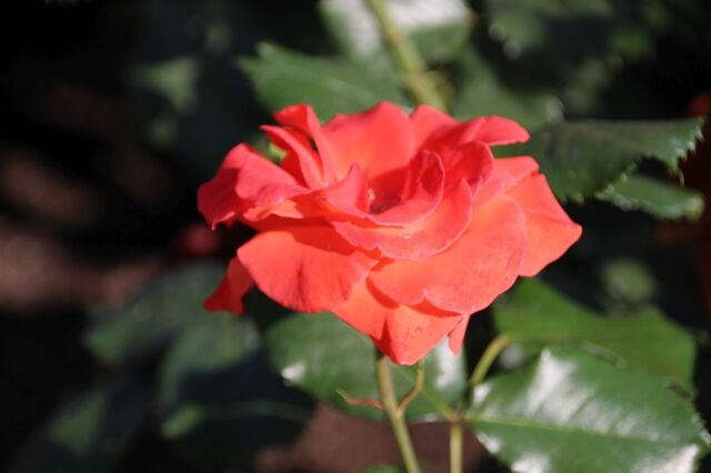3bP_IMG_2573.jpg