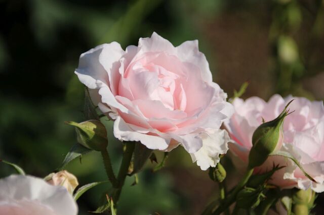3bP_IMG_2635.jpg