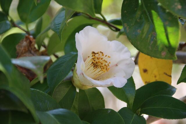 3bP_IMG_3483.jpg