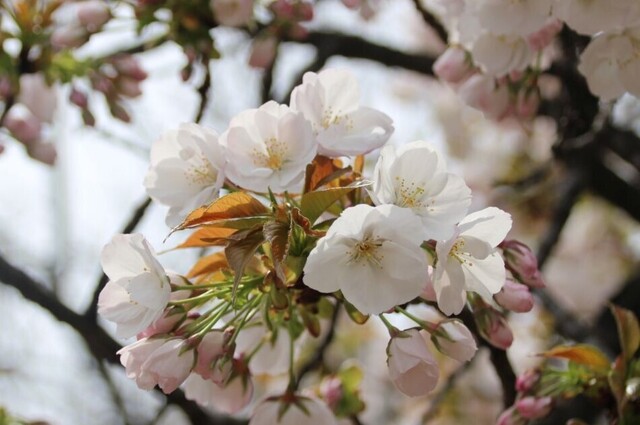 3bP_IMG_4689.jpg