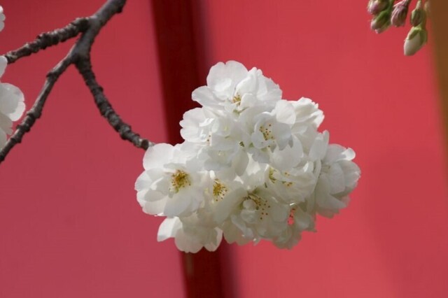 3bP_IMG_4779.jpg