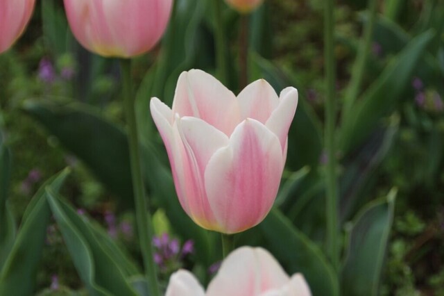 3bP_IMG_6057.jpg