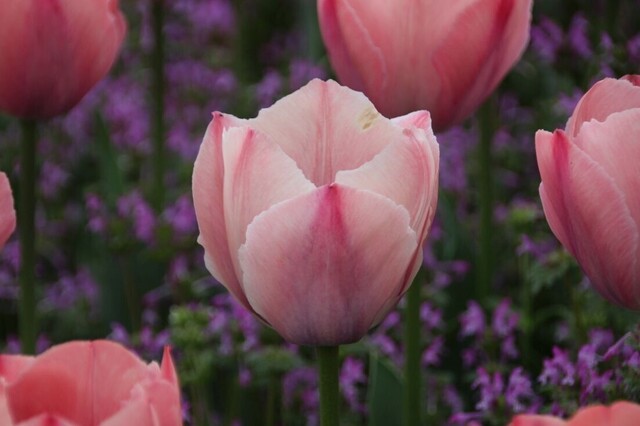 3bP_IMG_6113.jpg