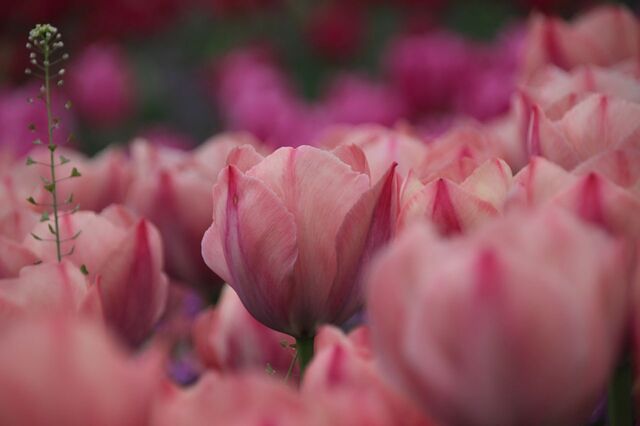 3bP_IMG_6125.jpg