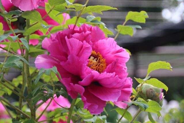 3bP_IMG_7497.jpg