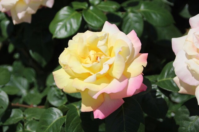 3bP_IMG_9287.jpg