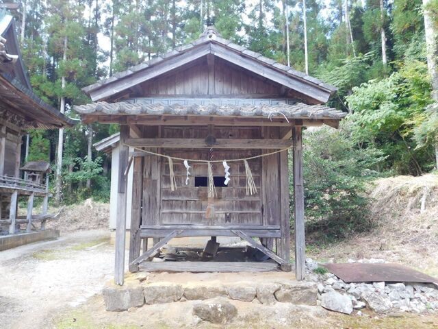 40aP_DSCN1436.jpg