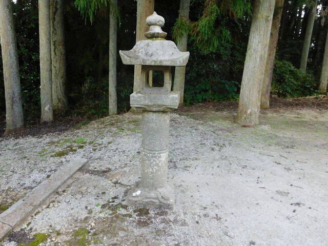 40aP_DSCN1439.jpg