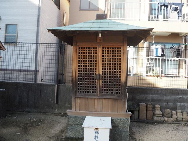 40aP_PB065811.jpg