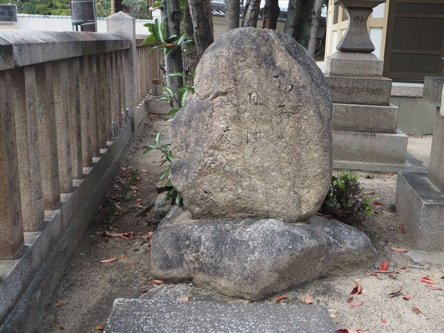 40aP_PB066576.jpg