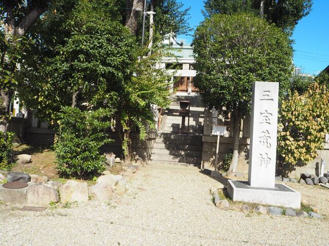 41aP_PB065990.jpg