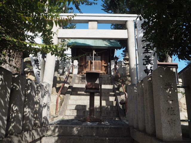 42aP_PB065995.jpg