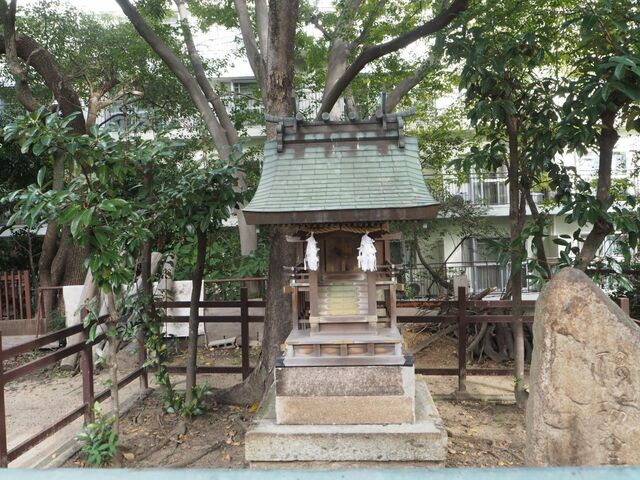 42aP_PB066354.jpg