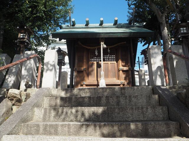 43aP_PB065999.jpg